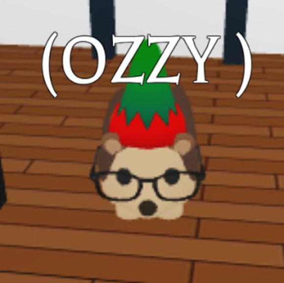 loloabbywill1
